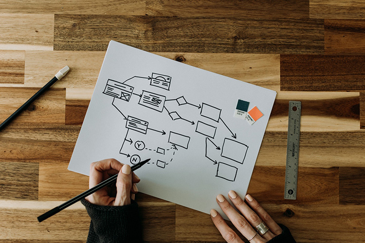 Drawing of a decision-tree flowchart. Photo by Kelly Sikkema.