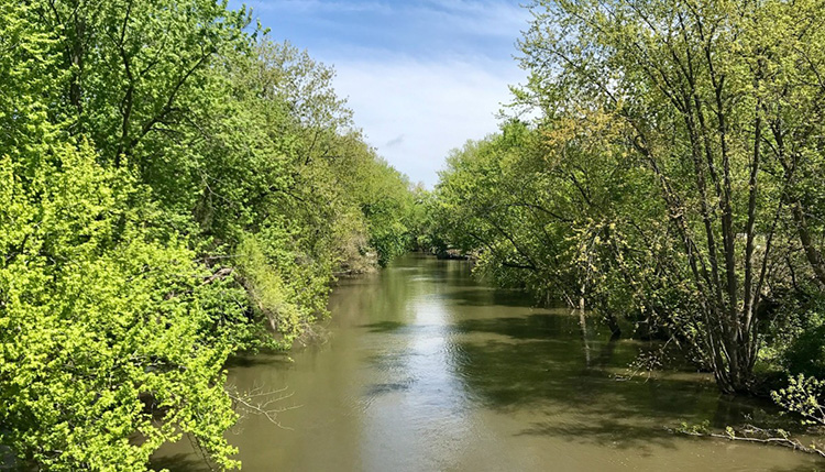 View of the Pecatonica River from Van Buren Street Bridge in Freeport, Illinois. Photo by Andra C. Taylor, Jr.