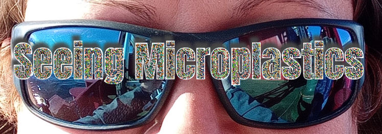 Close-up of Fay Couceiro with sunglasses, with the words "Seeing Microplastics."